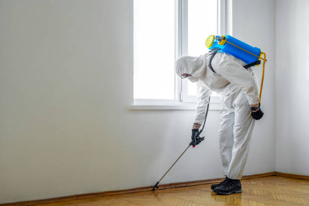 Best Residential Pest Control  in Glendale, AZ