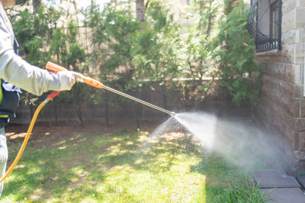 Best Local Pest Control Services  in Glendale, AZ